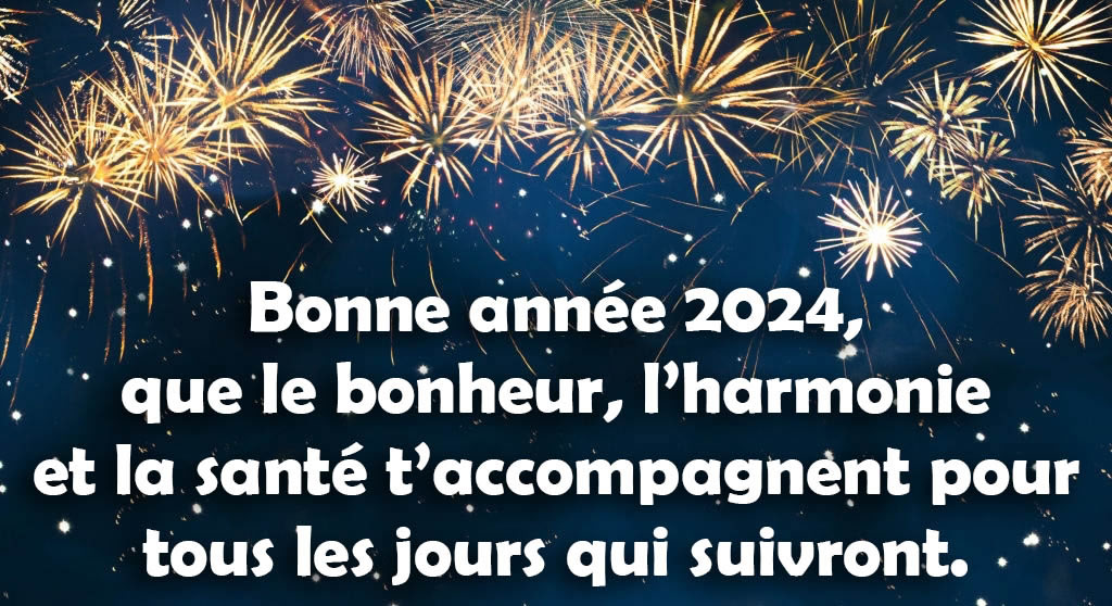 Images de feux d'artifice avec un message pour souhaiter une bonne 2024 à distance.