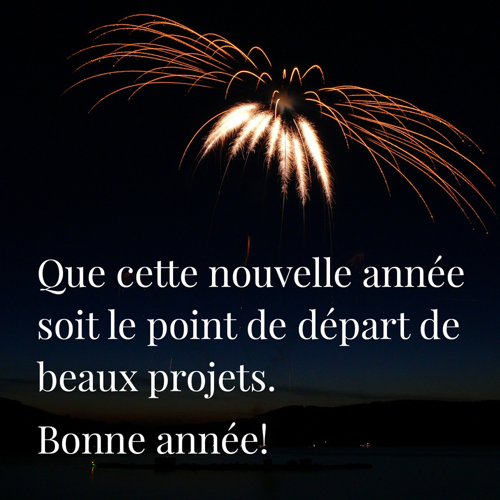 Photo du feu d'artifice et message de vœux pour la nouvelle année 2025